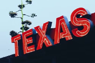 Choosing a Business Structure: Forming a Company in Texas